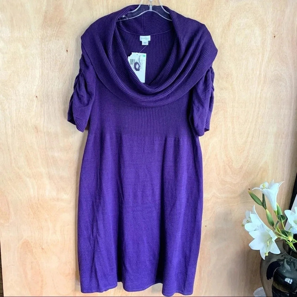 **NEW Jaclyn Smith Cowl Sweater Dress - Picture 1 of 9